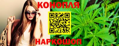 ECSTASY Гатчина