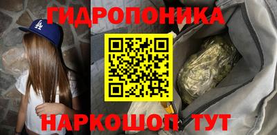 ECSTASY Гатчина