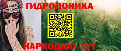мдпв Гагарин