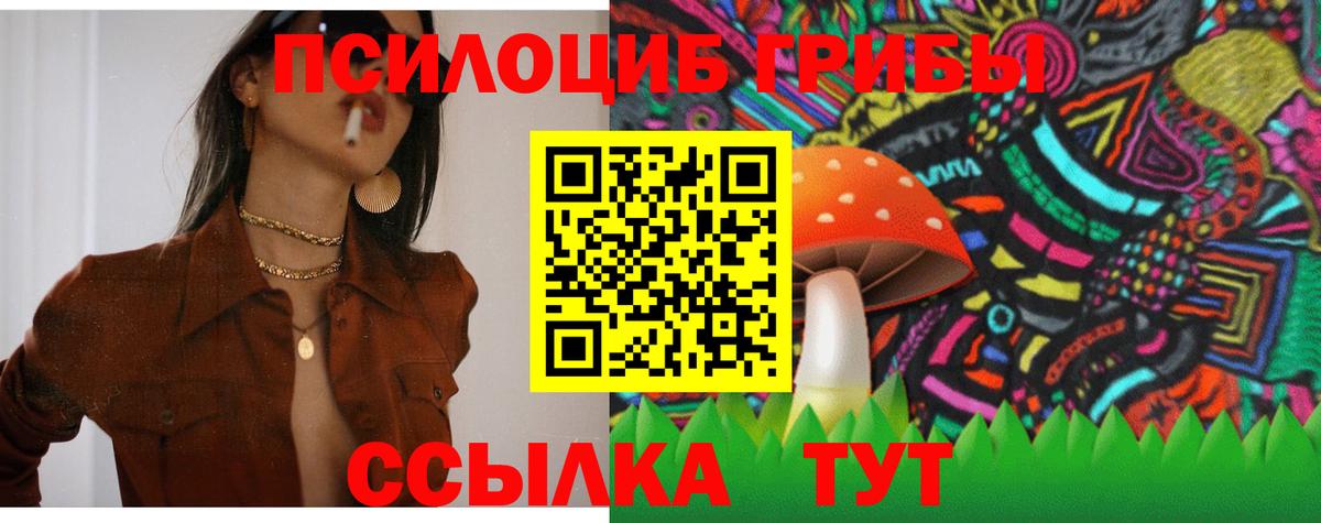 Нижний Тагил  Псилоцибиновые грибы Cubensis  Вход с VPN 