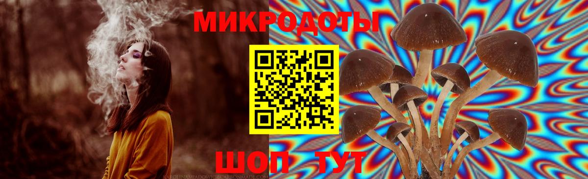 Галлюциногенные грибы GOLDEN TEACHER Нижний Тагил